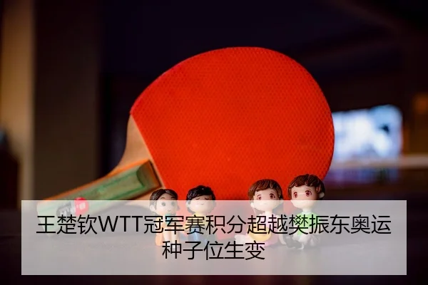 wang-chu-qin-guan-jun-sai-ji-fen-chao-yue-fan-zhen-dong-ao-yun-zhong-zi-wei-sheng-bian-2-448.jpg