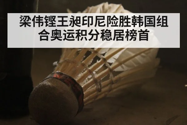 梁伟铿王昶印尼险胜韩国组合奥运积分稳居榜首