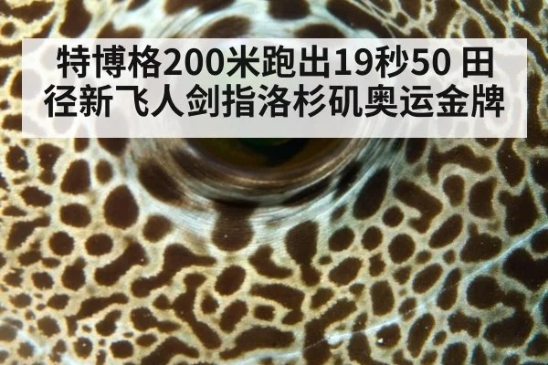 特博格200米跑出19秒50 田径新飞人剑指洛杉矶奥运金牌