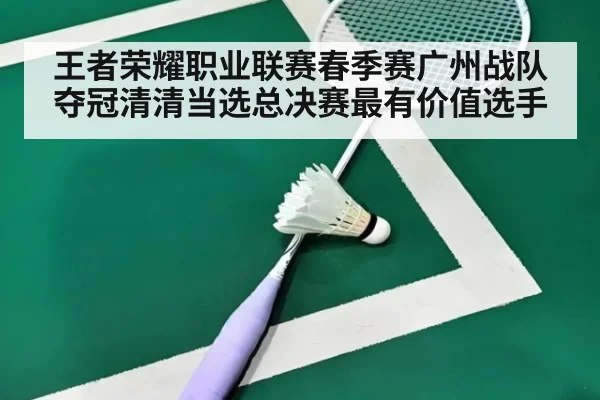 王者荣耀职业联赛春季赛广州战队夺冠清清当选总决赛最有价值选手