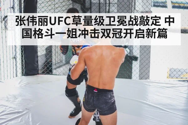 MMA cage fight